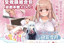 [SLG/中文/动态]和存在感薄弱妹妹一起的简单生活 ver0.65B 官方中文版[夸克/1.8G/UC]-捕鱼中文站