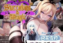 [RPG] DL官方中文[简+繁]+特典  Succubus & Magic  v5.23-捕鱼中文站