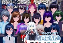 [3D/PC]绝对命令卡 #絶対命令カード v1.0 日文生肉版[3G]-捕鱼中文站