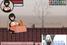 [像素ACT/全动态/CV/高可玩性]放浪的女英雄！ 步兵完结作弊版+全CG存档[200M]-捕鱼中文站