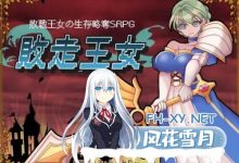 [RPG/汉化]败走王女 挂载AI汉化版 [新作] [1.7G]-捕鱼中文站