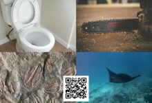 【EV扑克】扑克界谁的绰号最炸裂:电锯、魔鬼鱼、石化人、马桶?-捕鱼中文站