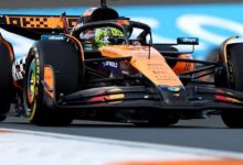 大发体育-诺里斯在荷兰大奖赛首场练习赛中领先皮亚斯特里,大发助力你的致富之路!-捕鱼中文站