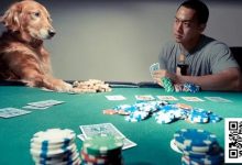 【EV扑克】他用垃圾牌狂输，却坚持“牌不重要”，结局令人深思-捕鱼中文站