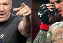 大发体育-达纳表示,他从未以“贬损的方式”谈论过汤姆,大发助力你的致富之路!-捕鱼中文站