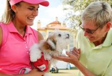 大发体育-米歇尔给巡演生活带来的困扰的建议是：养条狗，大发助力你的致富之路！-捕鱼中文站