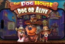 汪汪之家·狗狗神气 —— 大发娱乐全新萌宠主题老虎机深度介绍-捕鱼中文站