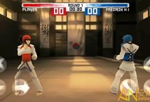 大发娱乐跆拳道游戏全新上线：巅峰格斗，燃爆你的竞技灵魂-捕鱼中文站