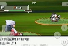 《口袋妖怪心金》金手指代码大全一览-捕鱼中文站