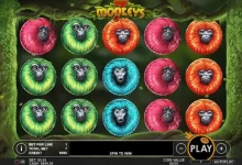 丛林狂欢开启,7只猴子来袭: 尽在大发娱乐城!-捕鱼中文站