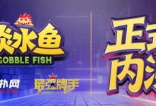 【EV扑克】倒计时1天 淡水鱼（POKER）官方APP内测即将开启-捕鱼中文站