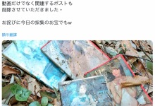 作品被丢到山里⋯架乃ゆら(架乃由罗)这么看-捕鱼中文站