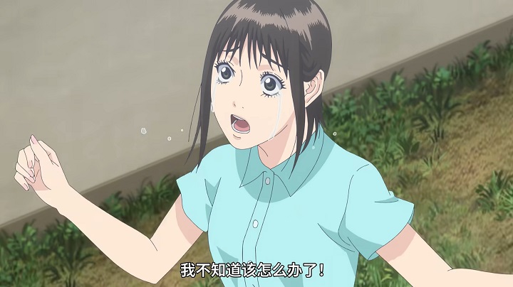 圣母为何能当主角？因为有一种天然的矛盾感呀