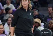 明尼苏达山猫队首次全球招聘，扩充前台团队，大发体育助力你的致富之路！-捕鱼中文站