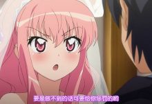 《零之使魔》20周年了,会有第五季吗?-捕鱼中文站