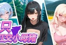 新作[日式SLG/动态] 三只肛交小母猪 The 3 Anal Piggies 官中步兵版 [1.20G]-捕鱼中文站