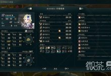 火焰纹章万缕千丝闪避坦攻略 火焰纹章万缕千丝闪避坦怎么培养-捕鱼中文站