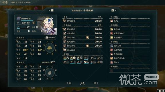火焰纹章万缕千丝闪避坦攻略 火焰纹章万缕千丝闪避坦怎么培养