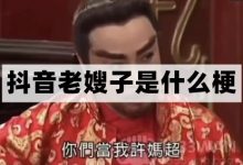老嫂子梗是什么意思详情-捕鱼中文站